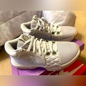 Lebron shoes brand new